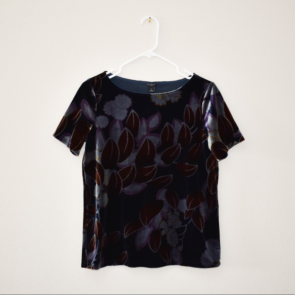 Ann Taylor Velvet T-Shirt